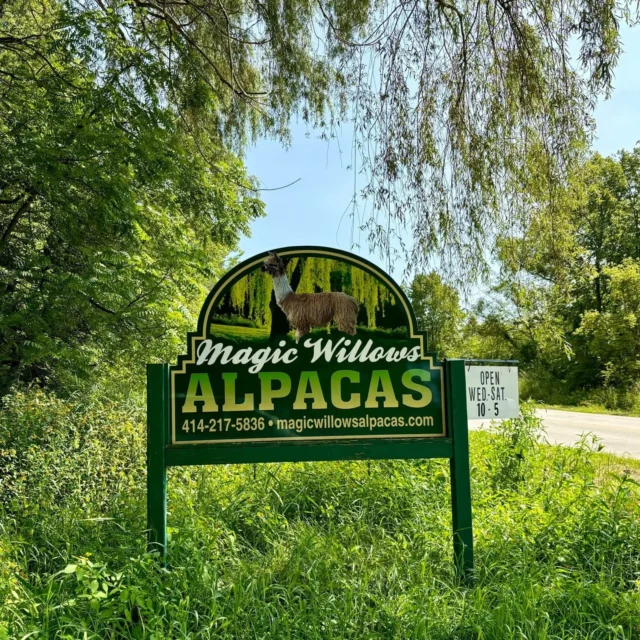 Come on out and enjoy this beautiful fall day (Sept. 26) at Magic Willows Alpacas for their Open House. Walk the pastures and feed the alpacas, lead the llama or alpaca through the obstacle course. Learn about their beautiful fiber and watch demonstrations of spinning, weaving, and felting. Visit their shop. There will be sweet snacks available for the alpacas and humans. Proceeds go to the WCHS. 

TIME: 10 a.m. - 4 p.m.

LOCATION: 6430 Arthur Road, Hartford